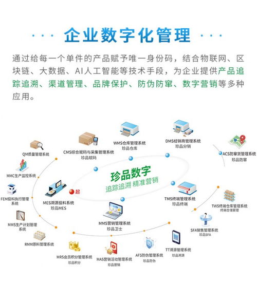 賦能管理，驅(qū)動未來 珍品數(shù)字發(fā)布全新企業(yè)數(shù)字化解決方案與數(shù)據(jù)處理服務(wù)